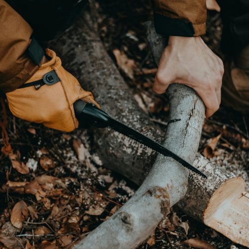 Tree Services | Kittle Farm Landscaping